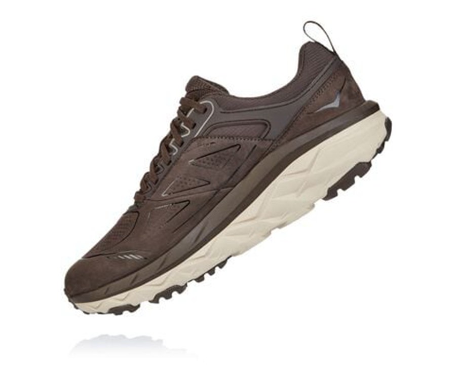 Hoka One One Trail Schoenen Heren - Challenger Laag Gore-Tex - Bruin - YX0156487